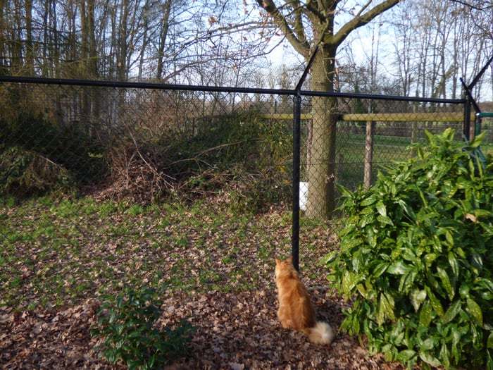 Sportinfrastructuur geplaatst door Lamon Hekwerk, voorbeeld 1 van 5