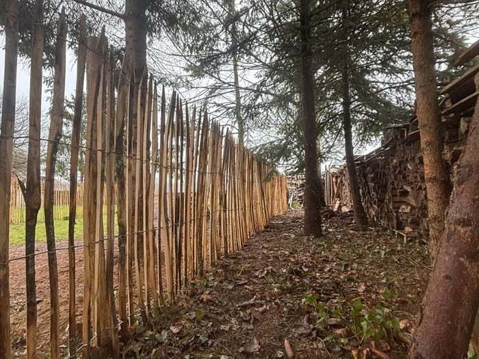 Kastanjeomheining geplaatst door Lamon Hekwerk
