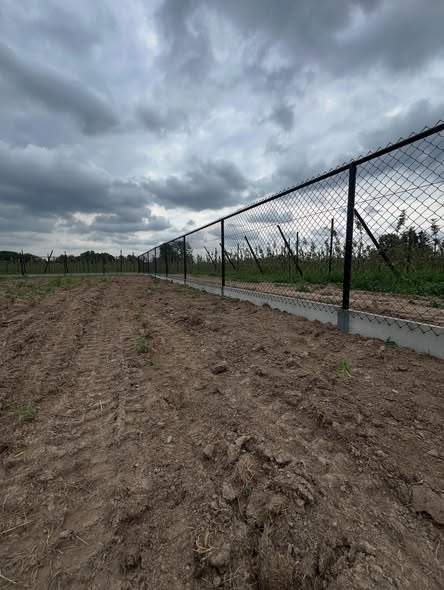 Draad van 1,50 m op betonplaat, ook in Rummen.