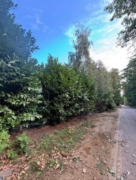 Dag één van een ander project: oud hekwerk en een stuk bos weggehaald.